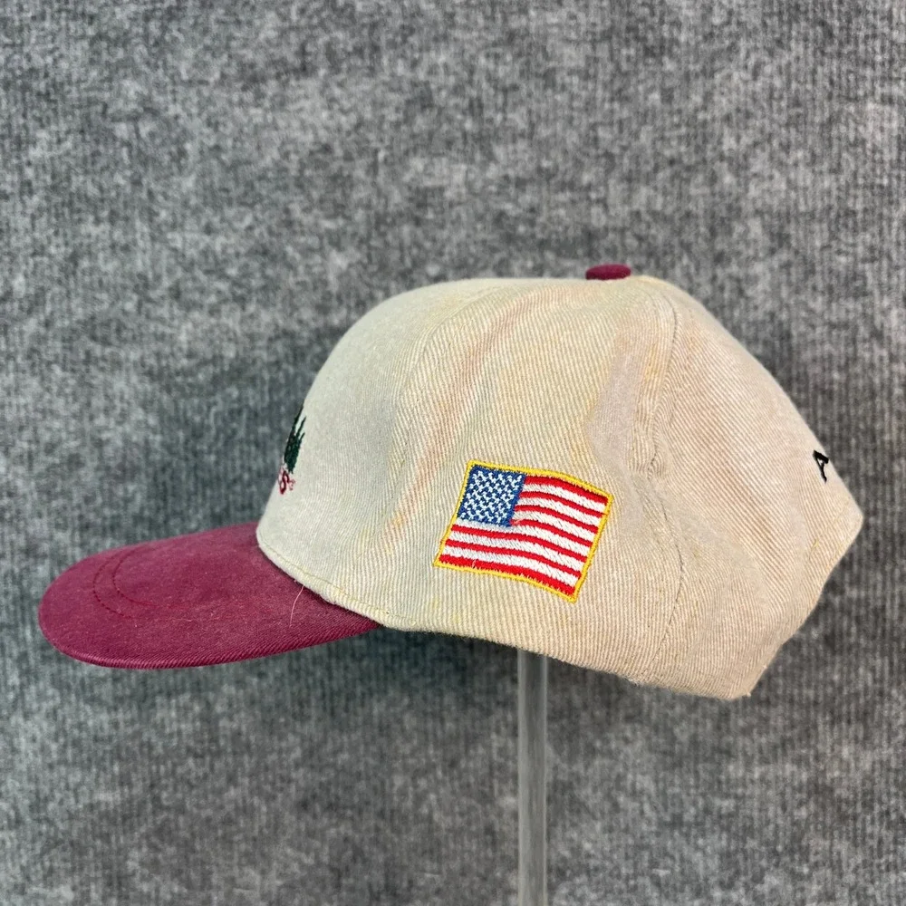 Vintage Synthes AO/ASIF Hat Impressions Denver CO Mountain Logo USA Swiss Flag
